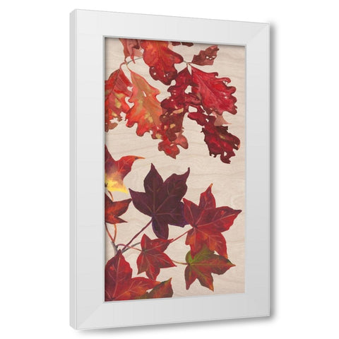 Autumn Leaves Collection B White Modern Wood Framed Art Print by Miller, Dianne