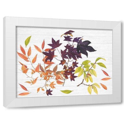 Sweet Foliage Collection A White Modern Wood Framed Art Print by Miller, Dianne