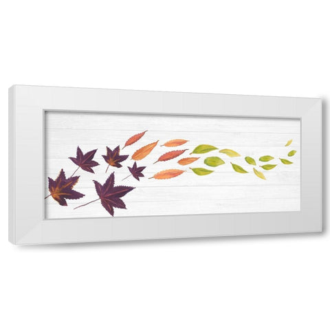 Sweet Foliage Collection D White Modern Wood Framed Art Print by Miller, Dianne