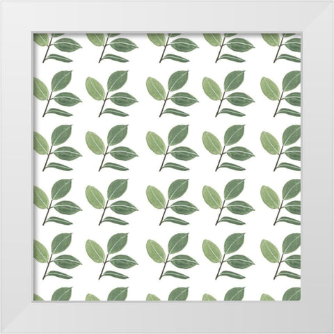 Mes Plantes Collection G White Modern Wood Framed Art Print by Wang, Melissa