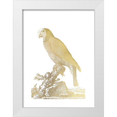 Gold Foil Parrot II White Modern Wood Framed Art Print by Edwards