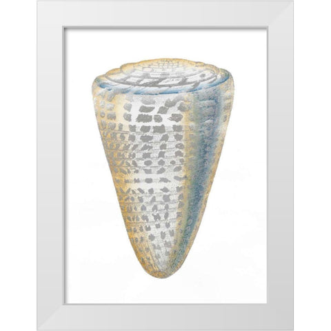 Silver Foil Shell I with Hand Color White Modern Wood Framed Art Print by Vision Studio