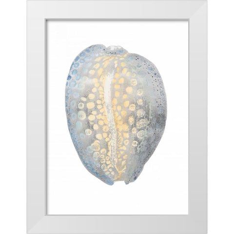 Silver Foil Shell II with Hand Color White Modern Wood Framed Art Print by Vision Studio