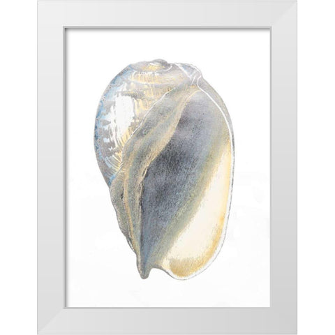 Silver Foil Shell IV with Hand Color White Modern Wood Framed Art Print by Vision Studio