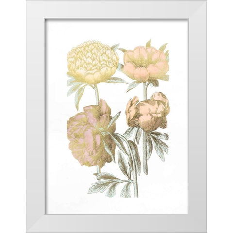 Gold Foil Chintz II with Hand Color White Modern Wood Framed Art Print by Vision Studio