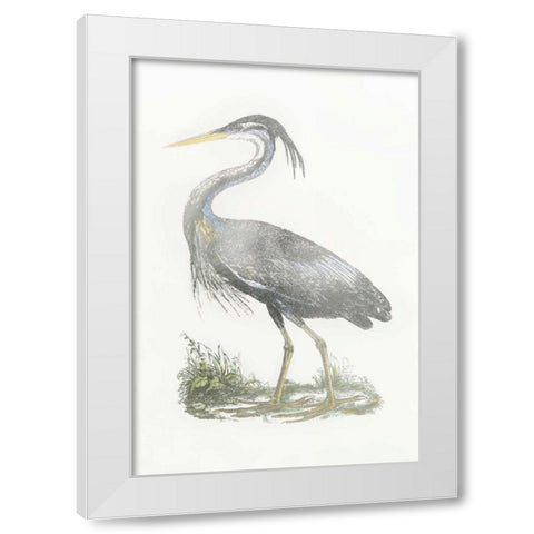 Silver Foil Heron II with Hand Color White Modern Wood Framed Art Print by Selby, John