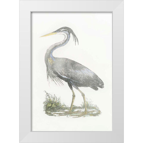 Silver Foil Heron II with Hand Color White Modern Wood Framed Art Print by Selby, John