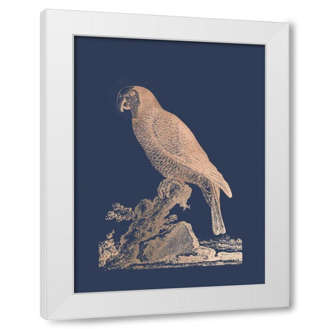 Rose Gold Foil Parrot II on Imperial Blue White Modern Wood Framed Art Print by Edwards