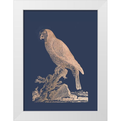 Rose Gold Foil Parrot II on Imperial Blue White Modern Wood Framed Art Print by Edwards