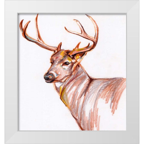 Deer in Pencil White Modern Wood Framed Art Print by Seay, Anne