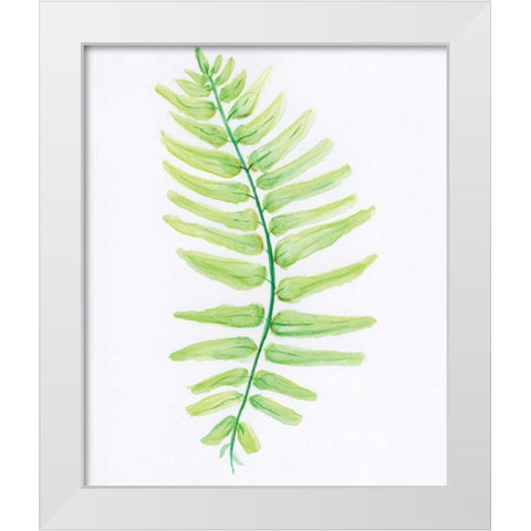 Fern White Modern Wood Framed Art Print by Seay, Anne