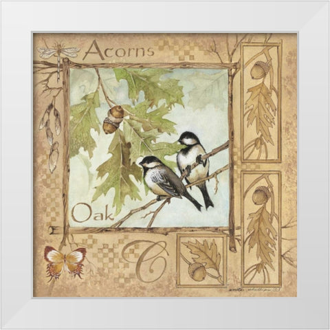 Acorns White Modern Wood Framed Art Print by Phillips, Anita