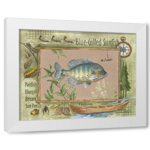 Blue-Gilled Sunfish White Modern Wood Framed Art Print by Phillips, Anita
