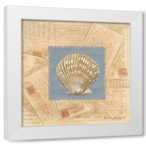 Fan Shell Postcard White Modern Wood Framed Art Print by Phillips, Anita