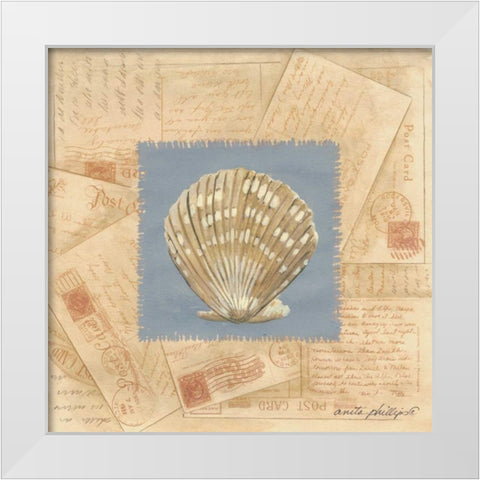 Fan Shell Postcard White Modern Wood Framed Art Print by Phillips, Anita