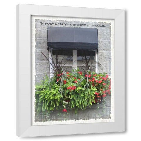 Windows of the World IV White Modern Wood Framed Art Print by Phillips, Anita