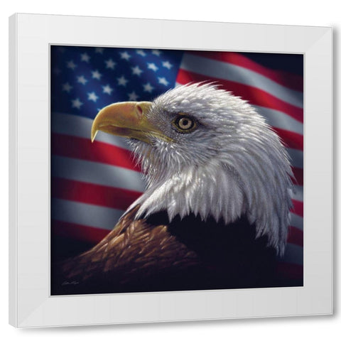 American Bald Eagle White Modern Wood Framed Art Print by Bogle, Collin
