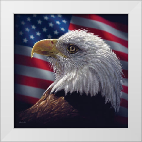 American Bald Eagle White Modern Wood Framed Art Print by Bogle, Collin