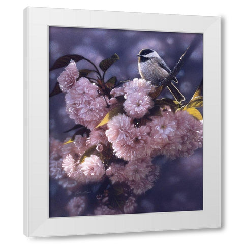 Black Capped Chickadee White Modern Wood Framed Art Print by Bogle, Collin