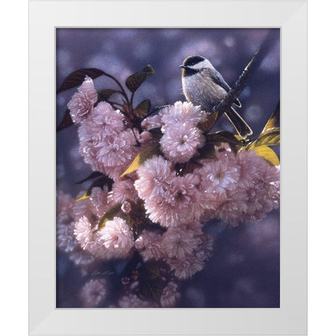 Black Capped Chickadee White Modern Wood Framed Art Print by Bogle, Collin