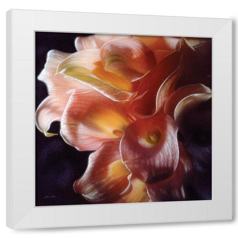 Calla Lilies - Emerging Dawn White Modern Wood Framed Art Print by Bogle, Collin