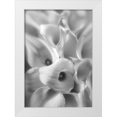 Calla Lilies White Modern Wood Framed Art Print by Bogle, Collin