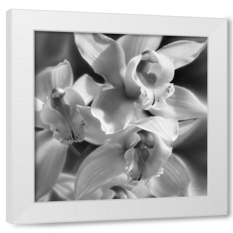 Orchids - BandW White Modern Wood Framed Art Print by Bogle, Collin