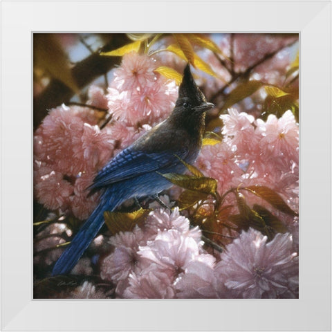 Stellers Blossoms White Modern Wood Framed Art Print by Bogle, Collin