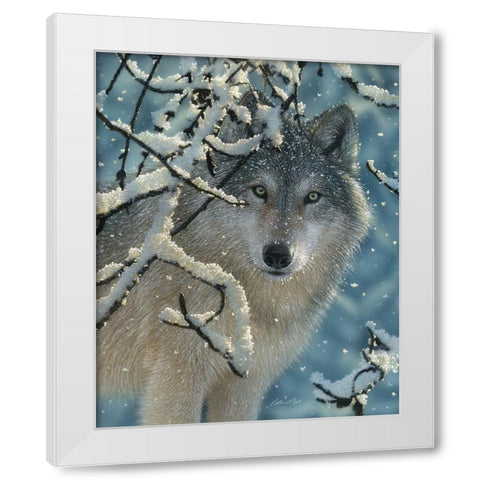 Wolf - Broken Silence White Modern Wood Framed Art Print by Bogle, Collin