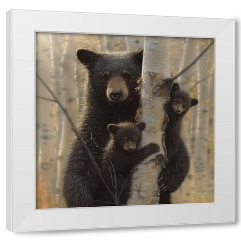 Black Bear Mother and Cubs - Mama Bear White Modern Wood Framed Art Print by Bogle, Collin