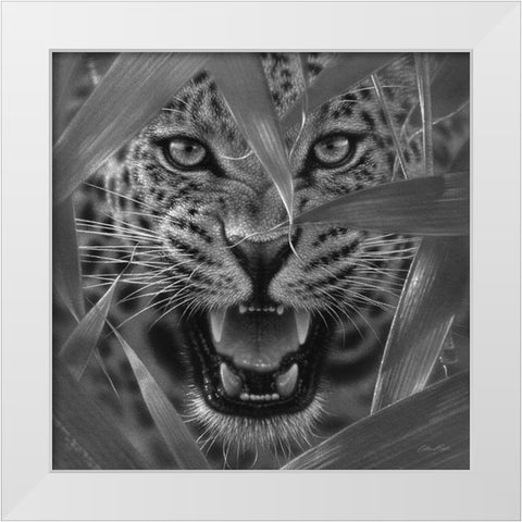 Jaguar - Ambush - BandW White Modern Wood Framed Art Print by Bogle, Collin