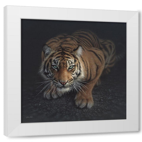 Crouching Tiger White Modern Wood Framed Art Print by Bogle, Collin