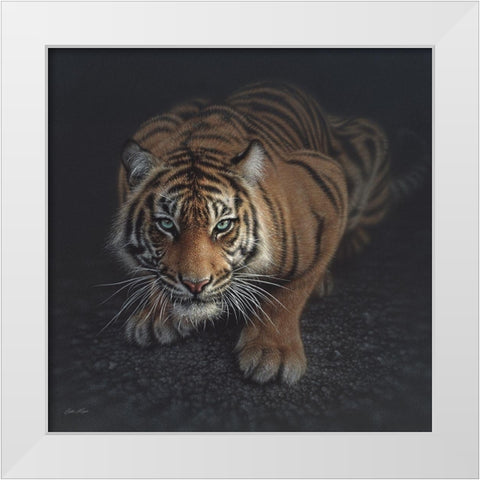 Crouching Tiger White Modern Wood Framed Art Print by Bogle, Collin