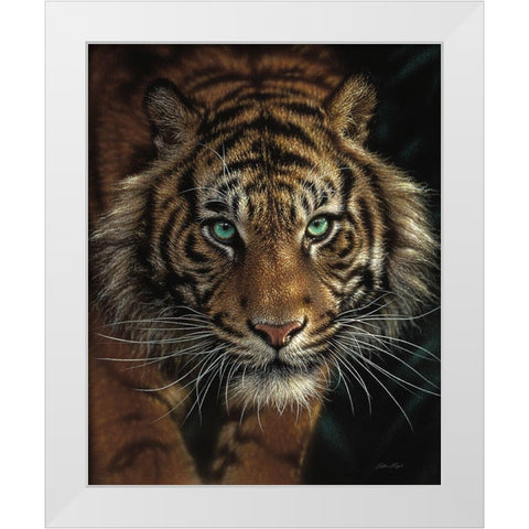 Eye of the Tiger White Modern Wood Framed Art Print by Bogle, Collin