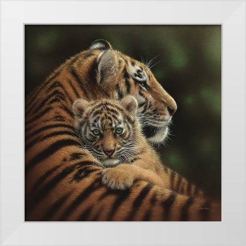 Tiger Mother and Cub - Cherished White Modern Wood Framed Art Print by Bogle, Collin