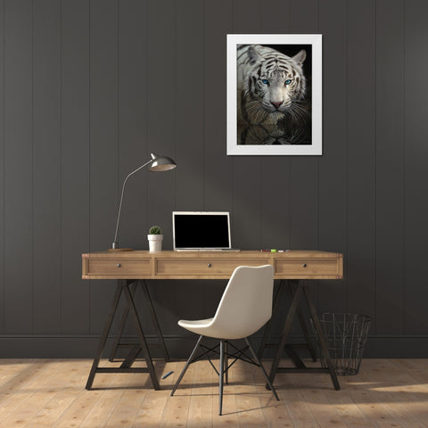 White Tiger - Into the Light White Modern Wood Framed Art Print by Bogle, Collin
