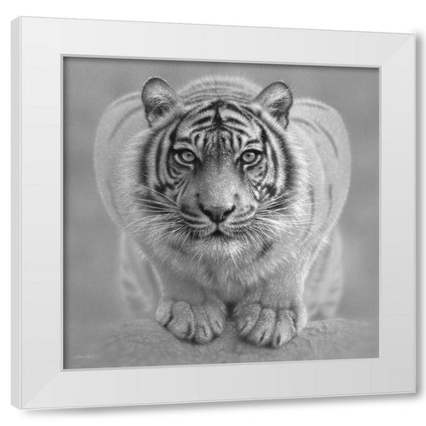 White Tiger - Wild Intentions - BandW White Modern Wood Framed Art Print by Bogle, Collin