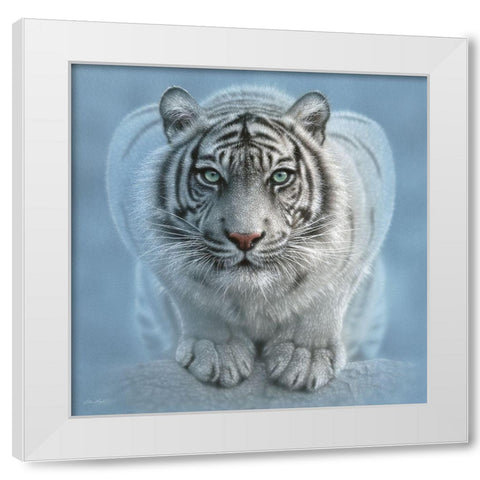 White Tiger - Wild Intentions Square White Modern Wood Framed Art Print by Bogle, Collin