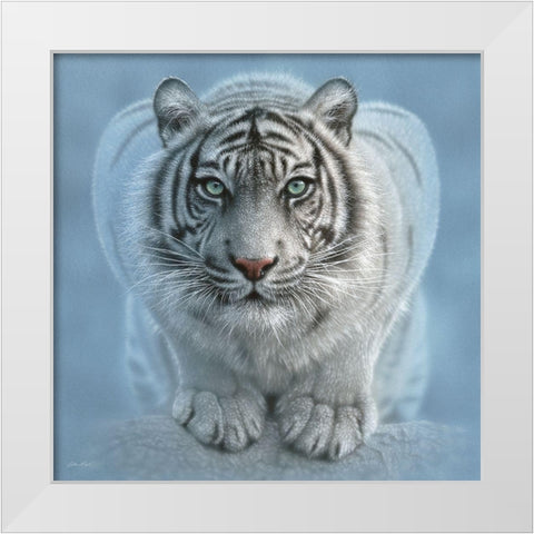White Tiger - Wild Intentions Square White Modern Wood Framed Art Print by Bogle, Collin