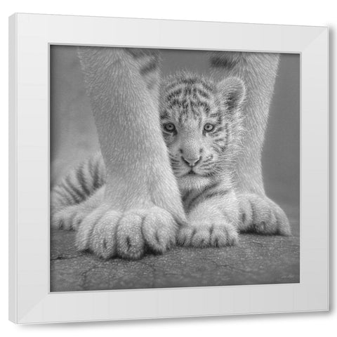 White Tiger Cub - Sheltered - BandW White Modern Wood Framed Art Print by Bogle, Collin