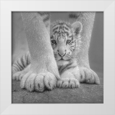 White Tiger Cub - Sheltered - BandW White Modern Wood Framed Art Print by Bogle, Collin