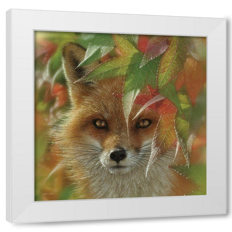 Autumn Red Fox White Modern Wood Framed Art Print by Bogle, Collin