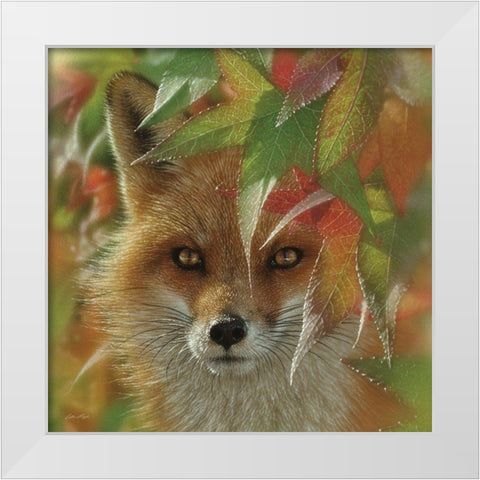Autumn Red Fox White Modern Wood Framed Art Print by Bogle, Collin