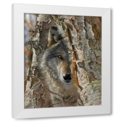 Close Encounter White Modern Wood Framed Art Print by Bogle, Collin