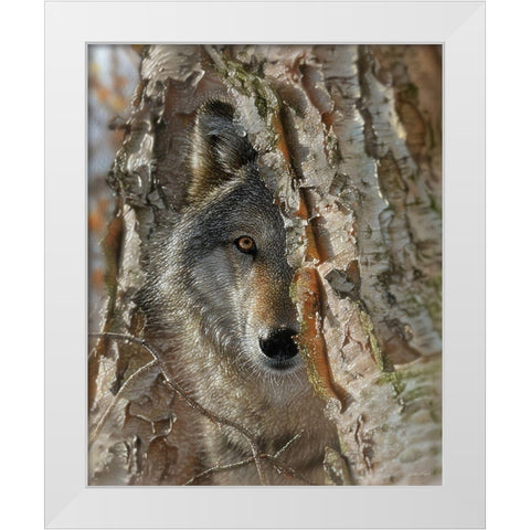 Close Encounter White Modern Wood Framed Art Print by Bogle, Collin