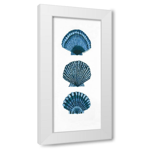 Shells White Modern Wood Framed Art Print by Shamp, Cindy