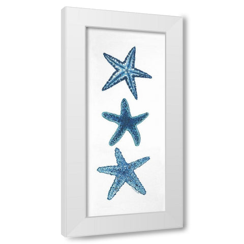 Starfish White Modern Wood Framed Art Print by Shamp, Cindy