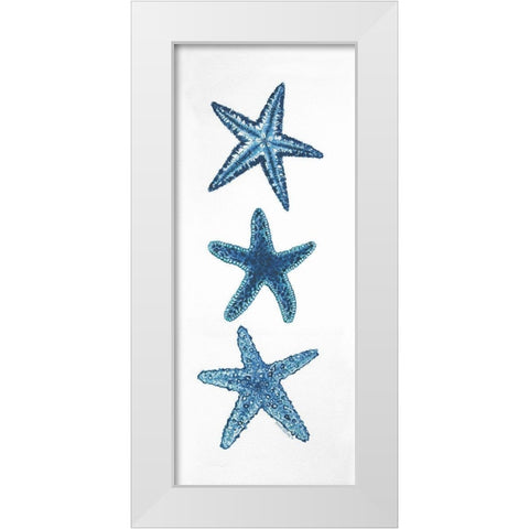 Starfish White Modern Wood Framed Art Print by Shamp, Cindy