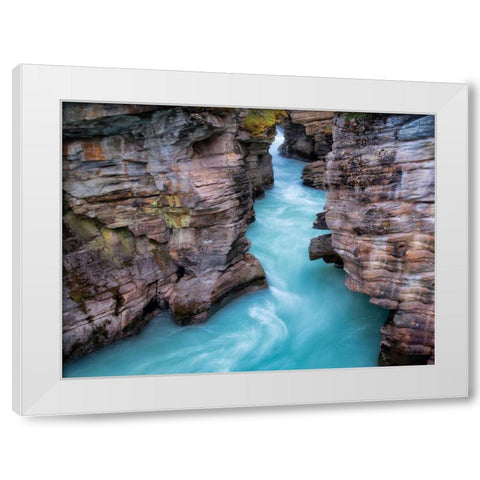 Aqua Velvet White Modern Wood Framed Art Print by Frates, Dennis