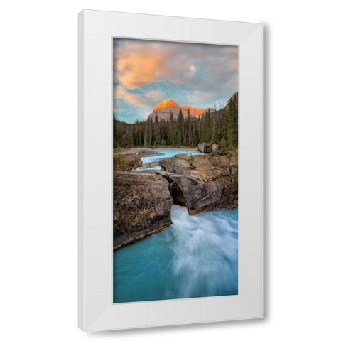 Orange Capped II White Modern Wood Framed Art Print by Frates, Dennis